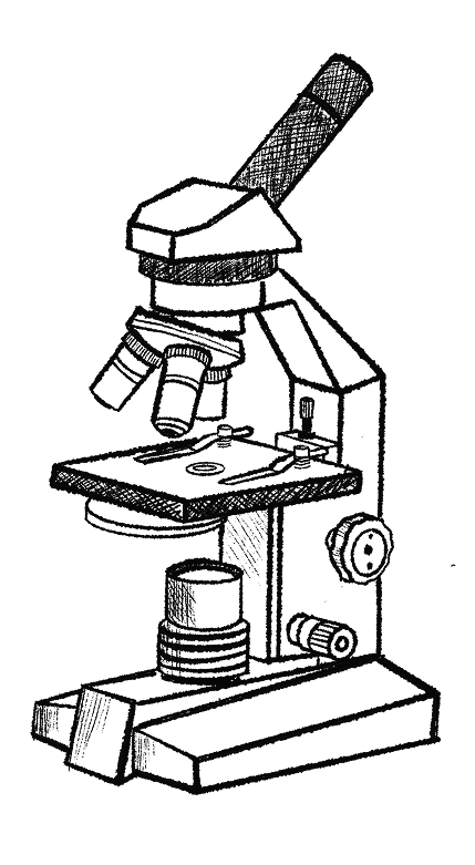 Illustration of a microscope