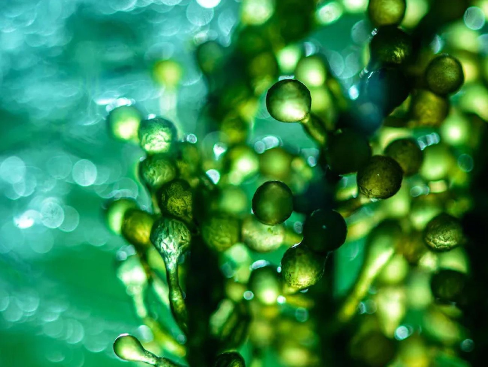 Announcing our investment in Think Bioscience