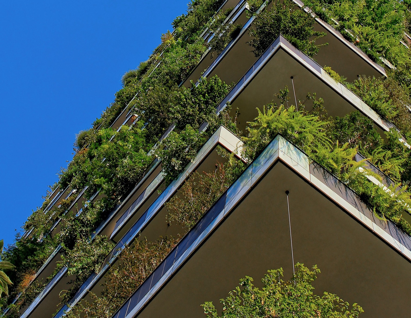 Decarbonizing the built environment