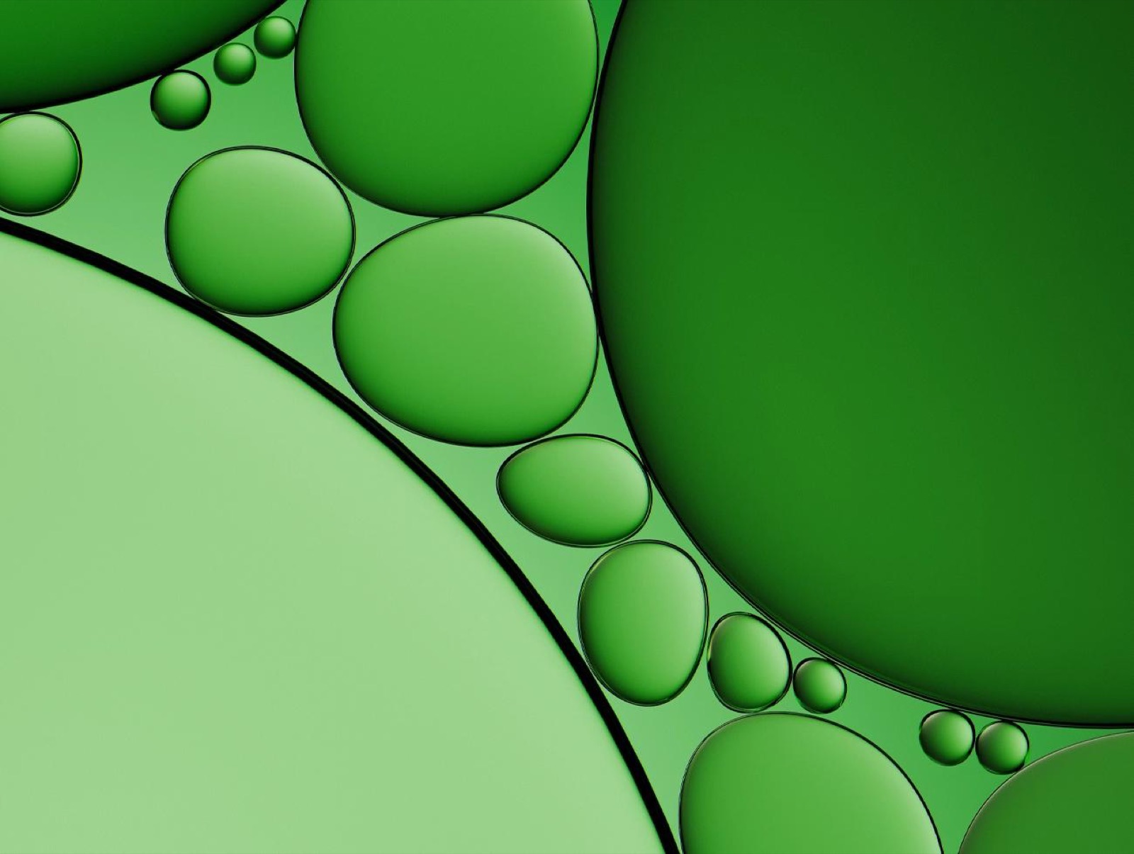 Introducing Bio Endeavors: A newsletter for Bio X Tech